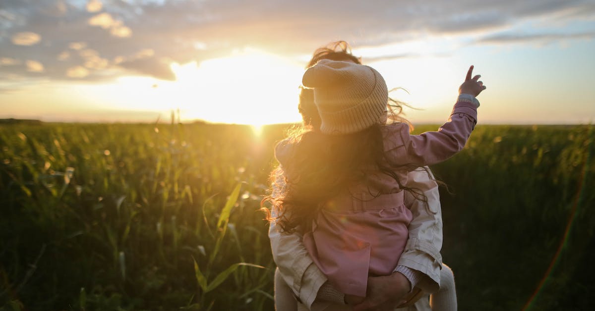 how much do consent orders cost | Justice Family Lawyers